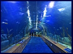 L'Oceanogràfic Oceanarium - underwater tunnel